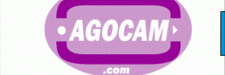 Agocam.com