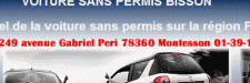 Voitures-sans-permis-bisson.com