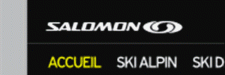 Salomon.com