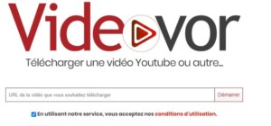 videovor